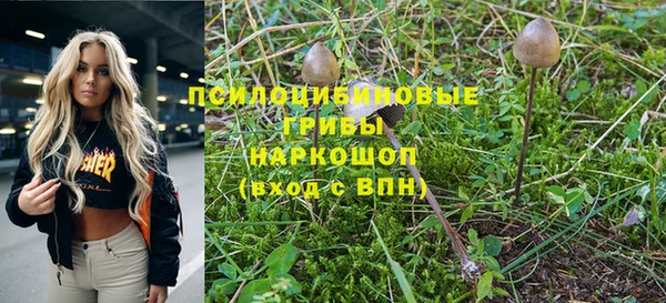 спайс Богородск
