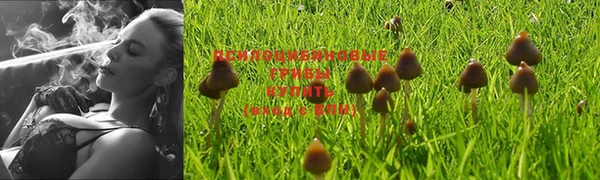 jwh Богданович