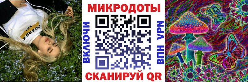 Купить где Видное Псилоцибиновые грибы Cubensis